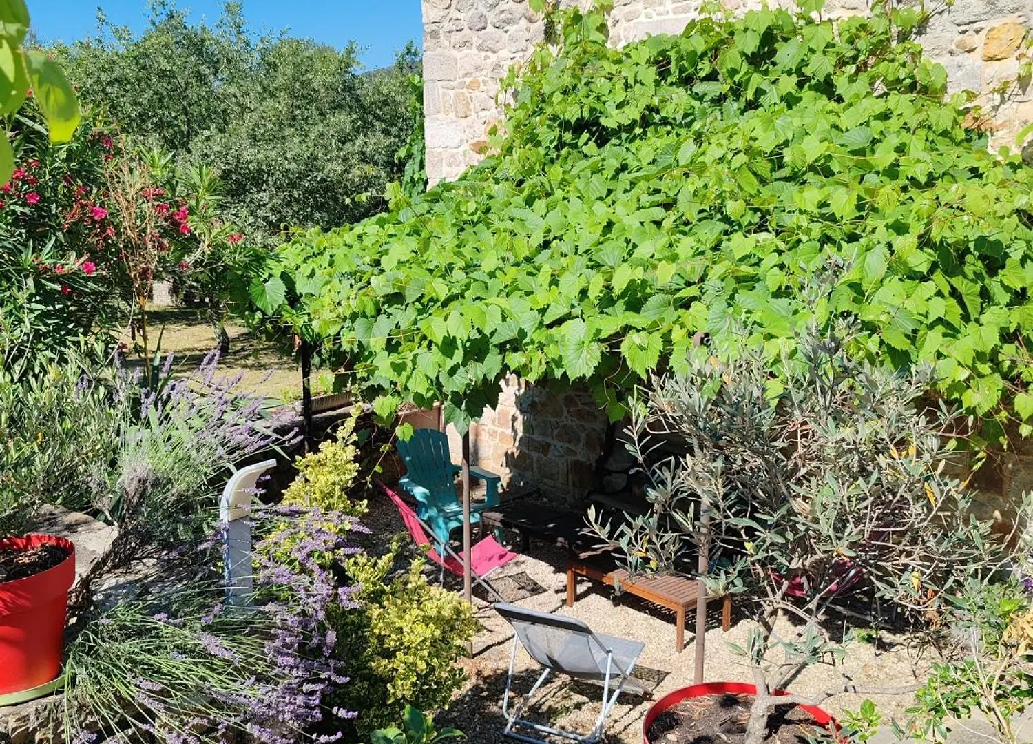Gites Mas De La Musardiere Les Assions 0*,